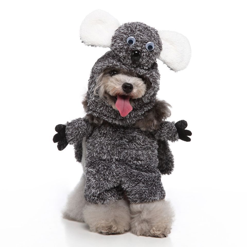 European And American Pet Products Clothing - Image 6