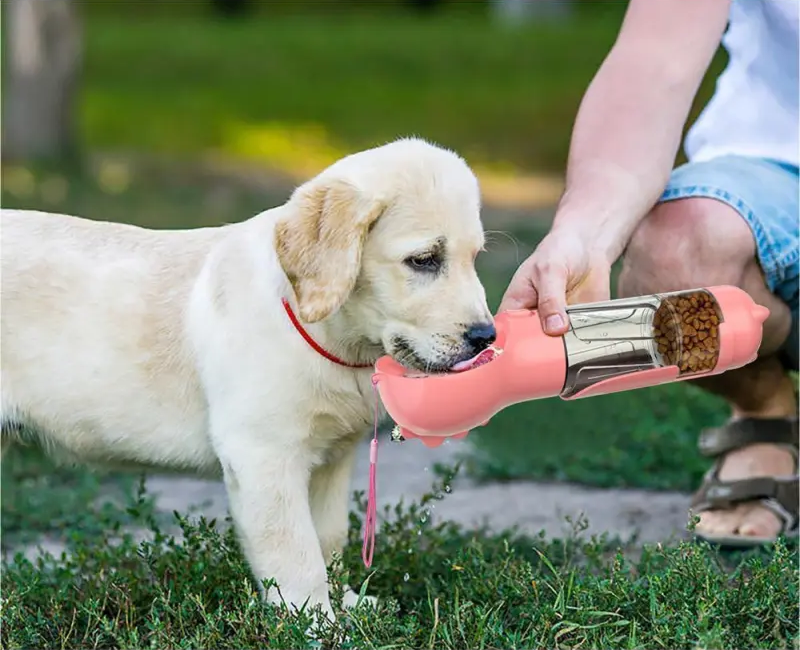 Pet Supplies