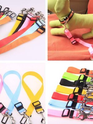 Fixed Strap Polyester Dog Strap Dog Leash Dog Leash