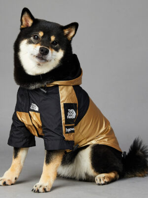 Dog Large Dog Raincoat Pet Jacket