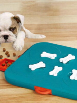 Pet Casino Treasure Hunt Puzzle Food Spill Toy