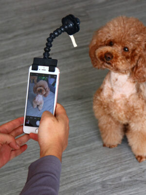 Pet Selfie Stick Pet Supplies Toys Pet Selfie Artifact