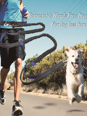 Amazon direct pet supplies multi-function running reflective pull dog leash double elastic dog leash traction