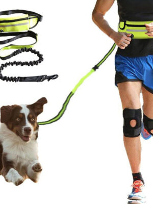 Hands Free Dog Leash Pet Walking And Training Belt With Shock Absorbing Bungee Leash For Up To 180lbs Large Dogs Phone Pocket And Water Bottle Holder