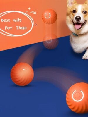 Pet Dog Rubber Ball Toys For Dogs Resistance To Bite Dog Chew Toys Puppy Pets Dogs Training Products