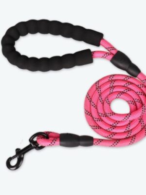 Pet Supplies Reflective Dog Leash